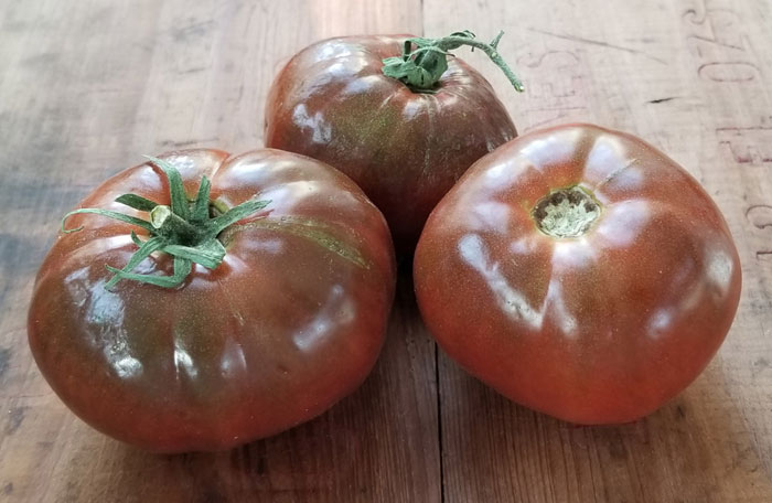 Paul Robeson tomato